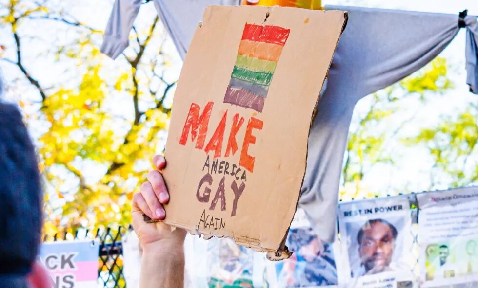 poster on demonstration saying "make america gay again"