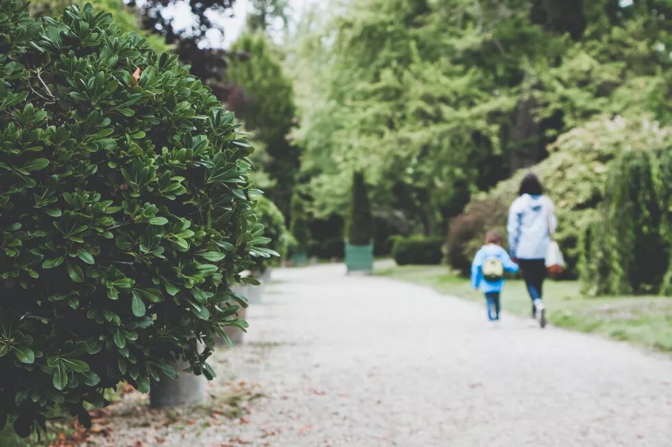 Familiengründung oder geschlechtliche Selbstbestimmung?