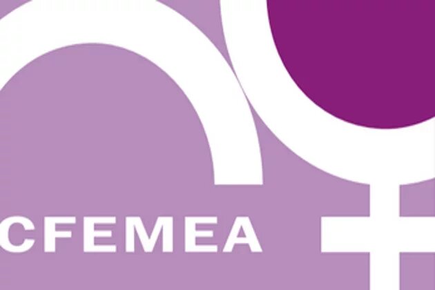 Centro Feminista de Estudos e Assessoria (CFEMEA)