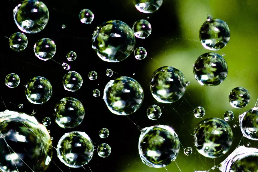 cobweb with water