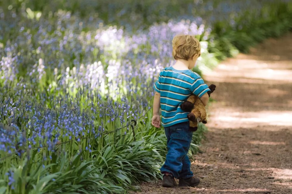 Junge mit Teddy im arm, allein auf einem Weg.