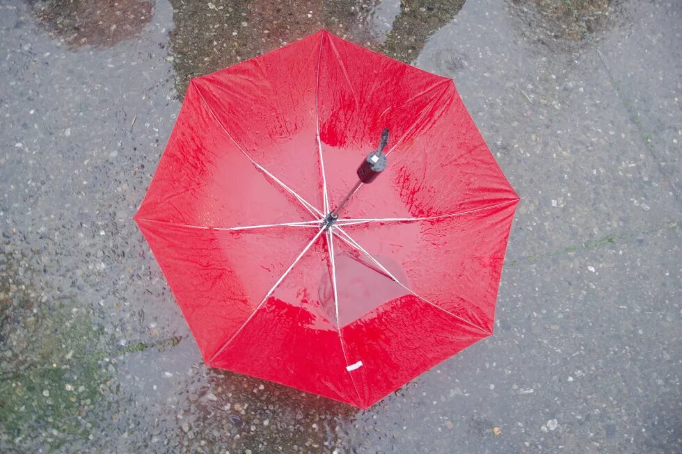 roter Regenschirm