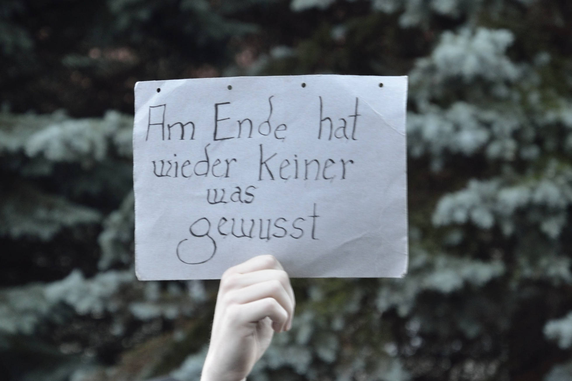 Die AFD kann mit ihrer populistischen Agitation in viele Bereiche der Gesellschaft hineinwirken